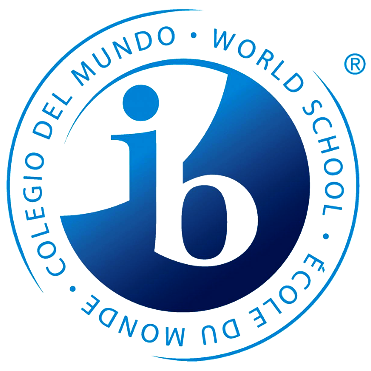 Ib school что это